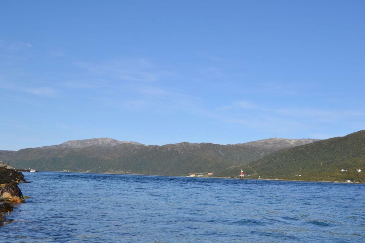 Kvaloya Lodge Futrikelv エクステリア 写真